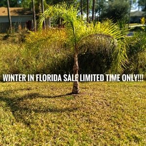 Winter in Florida sale!!